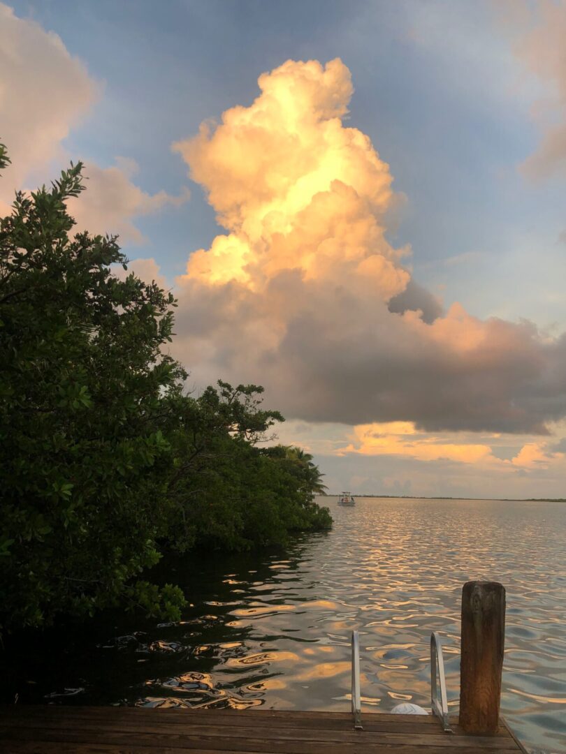 A body of water with trees and clouds in the sky.