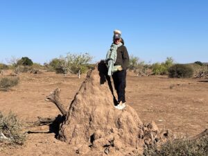 Tony McLean Brown Termite Hill